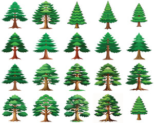 Fototapeta premium Cedar tree vector illustration isolated on white background.