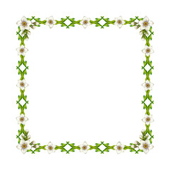 Watercolor floral frame with green vine, leaves, white flowers. Square frame template. Elegant and natural style, perfect for wedding invitations, greeting cards, quotes, or eco-friendly branding
