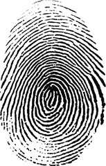 A detailed black ink fingerprint on a clean white background showcasing unique ridge patterns