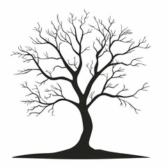 Obraz premium Leafless Tree Silhouette: Captivating Black and White Nature Artwork for Graphic Design and Minimalist Decor