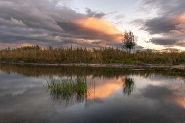 Fototapeta premium A body of water with a tree in the foreground