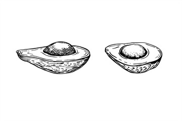 Two halves of avocado with seed vector isolated illustration Monochrome cut fruit slices etching drawing. Tropical healthy plant organic ingredient for menu, recipe design.