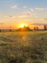 A field of grass with a sun in the sky