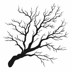Obraz premium Stunning Black Silhouette of Leafless Tree - Nature Vector Illustration