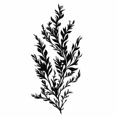 Fototapeta premium Black and White Botanical Line Art: Elegant Silhouettes and Ornamental Foliage for Eco-Friendly Graphic Design