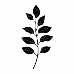 Elegant Botanical Silhouette. Minimalist Leaf Branch for Nature-Inspired Decor
