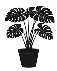 Stylish Monstera Houseplants: Elegant Indoor Greenery for Modern Home Decor