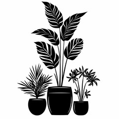Minimalist Indoor Plant Illustration: Artistic Botanical Graphic for Home Decor and Design