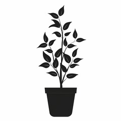 Indoor Plant Silhouette: Enhance Your Home Decor with Greenery and Botanical Care