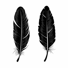 Black and White Feather Illustration - Ethereal Nature Art Vector Graphic