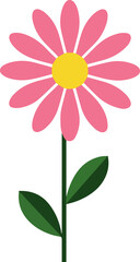 Vector illustration of a pink daisy flower
