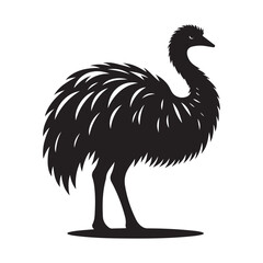 Emu silhouette vector image Australian bird illustration drawing