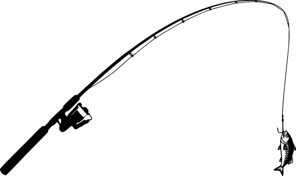 penn beach fishing rods Surfblaster III Longcast, Reel, Spinning Reels, Sea Fishing, Long Distance Spool Surf Casting Reel for Saltwater and Rock Fishing, Unisex, Black, Gold, 7000 : Sports & Outdoors The Show Me Fly Size (Height):3