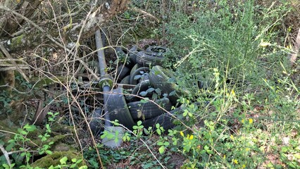 Fototapete bei efototapeten.de bestellen   