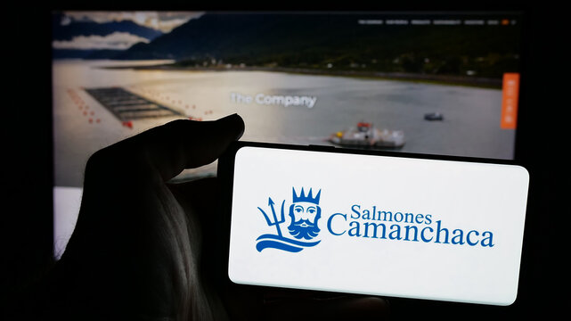 Stuttgart, Germany - 04-03-2025: Person holding mobile phone with logo of aquafarming company Salmones Camanchaca S.A. on screen in front of web page. Focus on phone display.