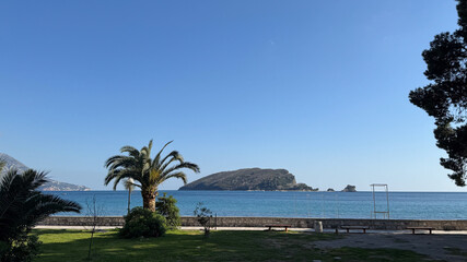 Peaceful ocean view from a landscaped park with palm trees, benches, and a distant forested island.

