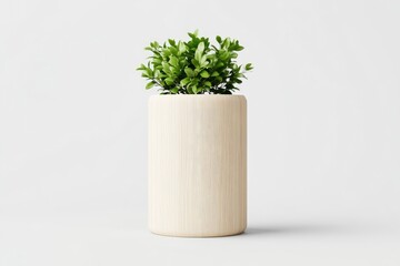 Cylindrical planter with small plant