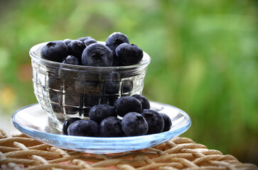 The beautiful and delicious fruits of the blueberry (Vaccinium sect. Cyanococcus)