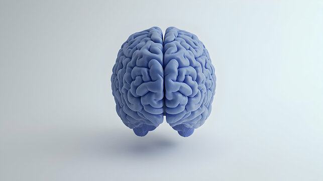 3D Rendered Light Blue Brain on White Background