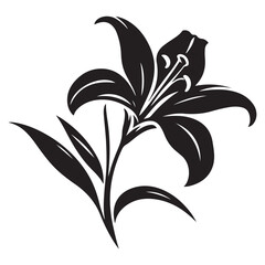 Elegant lily illustration represents purity, love, sympathy and remembrance flower