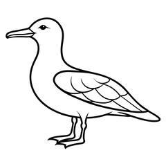 duck isolated on white