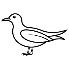 vector illustration of a duck