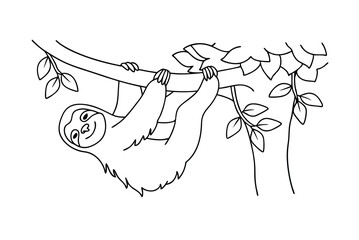 Cartoon Sloth Hanging From Tree Branch Outline Vector Illustration Design