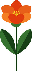 Vector illustration of orange begonia