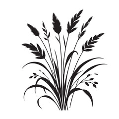 Silhouette Ornamental Grass Plant Botanical Decoration Nature Wild Design