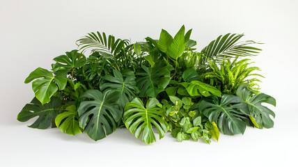 Lush green foliage arrangement featuring various tropical plants, creating vibrant and refreshing atmosphere