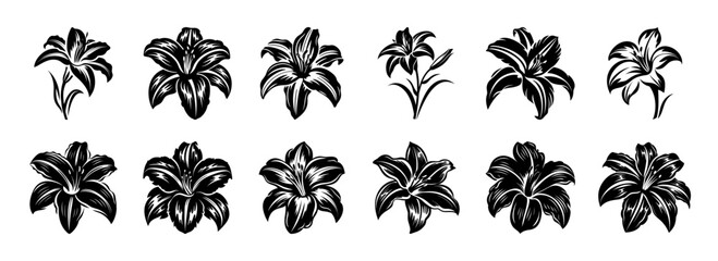 Collection of twelve black and white lily flower illustrations various styles