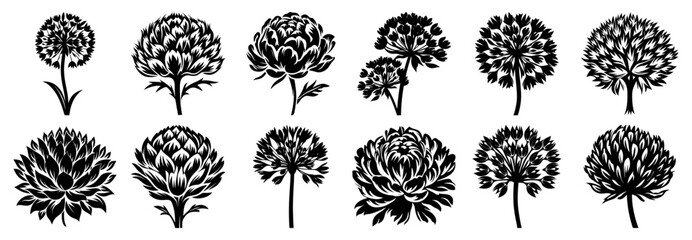 Black Silhouette Art of Botanical Flower Heads, A collection of black silhouette floral illustrations featuring various stylized flower heads, ideal for botanical design and tattoo references.
