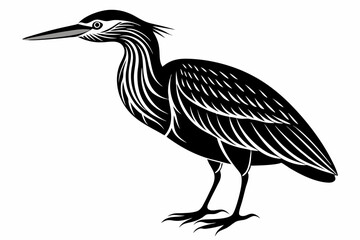 American bittern silhouette black vector