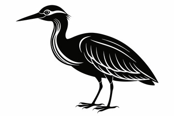 American bittern silhouette black vector