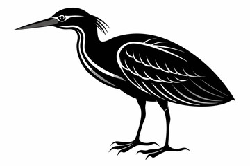 American bittern silhouette black vector