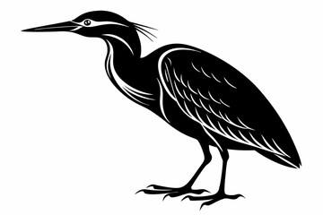 American bittern silhouette black vector