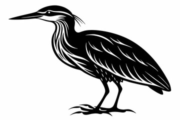 American bittern silhouette black vector