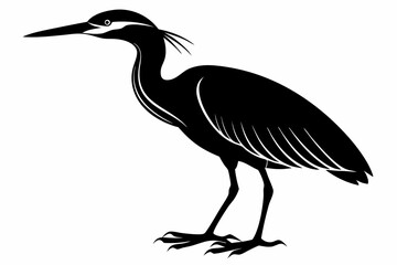 American bittern silhouette black vector