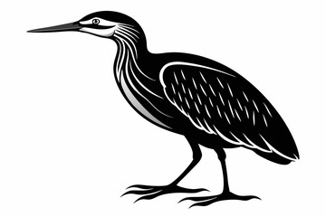 American bittern silhouette black vector