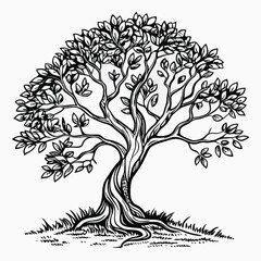 Hand-drawn black and white tree illustration – intricate ink line art of dense leafy tree with visible roots, traditional drawing style, vintage botanical sketch design