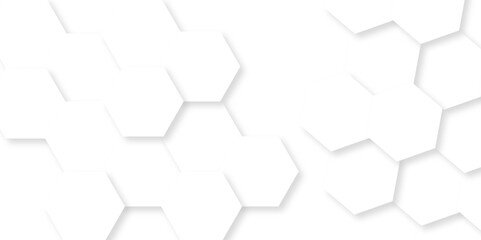 Minimalistic abstract background with hexagonal lines in light. abstract geometric science technology with template background. Modern white hexagon futuristic wallpaper. Hexagon mesh cell texture.