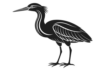 Obraz premium american bittern sihouette black vector
