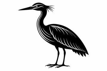 american bittern sihouette black vector
