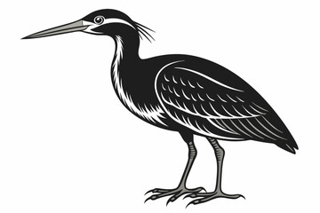 american bittern sihouette black vector