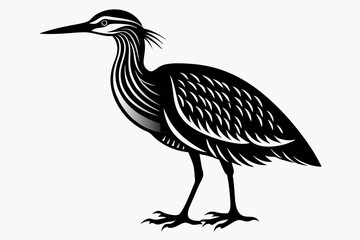 american bittern sihouette black vector