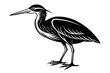 american bittern sihouette black vector