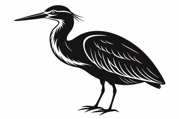 american bittern sihouette black vector
