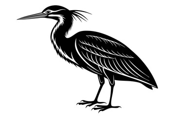 american bittern sihouette black vector