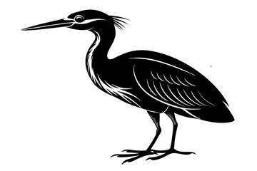Fototapeta premium american bittern sihouette black vector