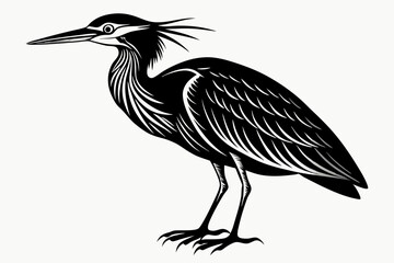 american bittern sihouette black vector